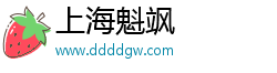 上海魁飒